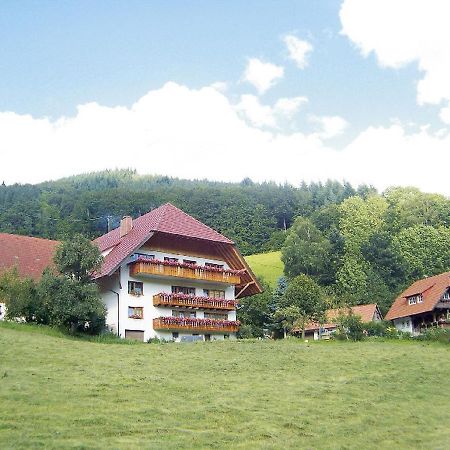 Geigerbauernhof Apartment Mühlenbach Екстериор снимка