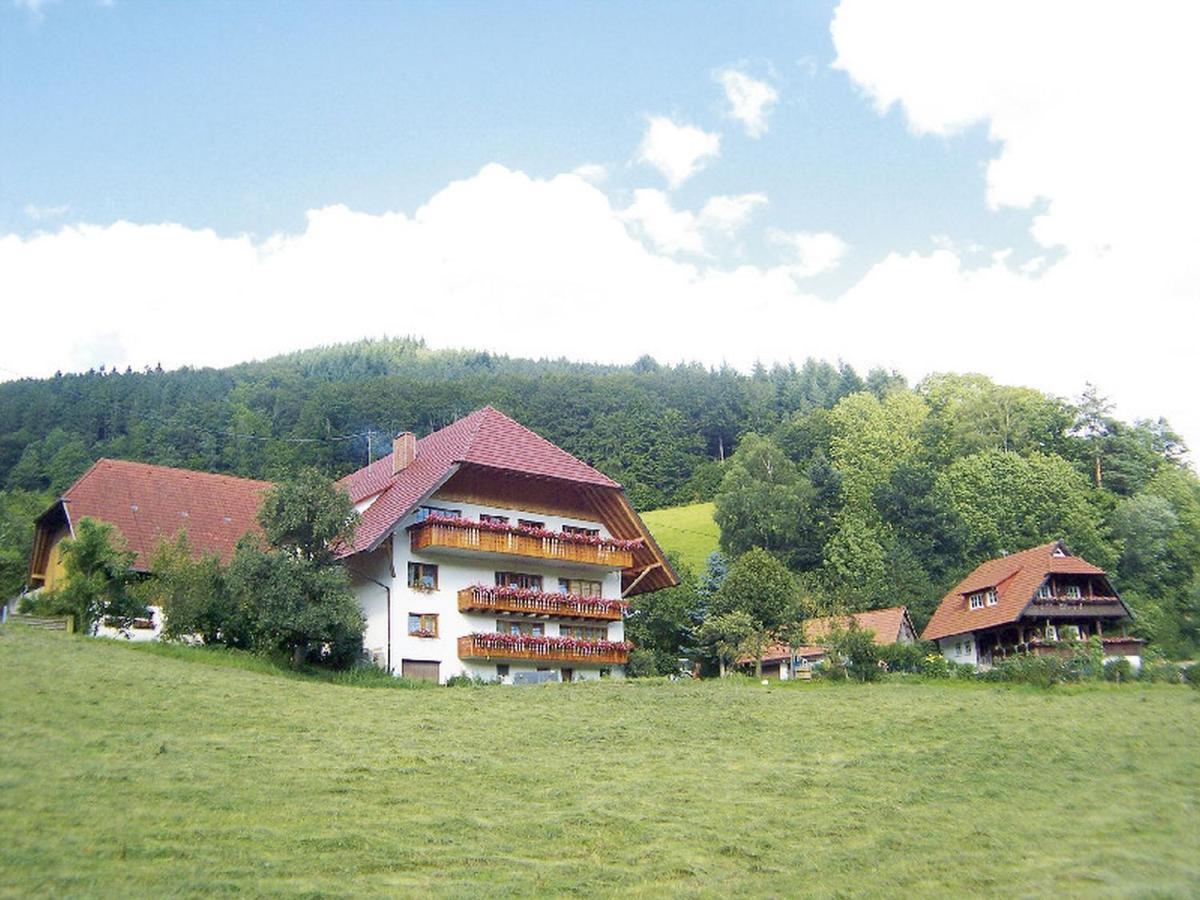 Geigerbauernhof Apartment Mühlenbach Екстериор снимка