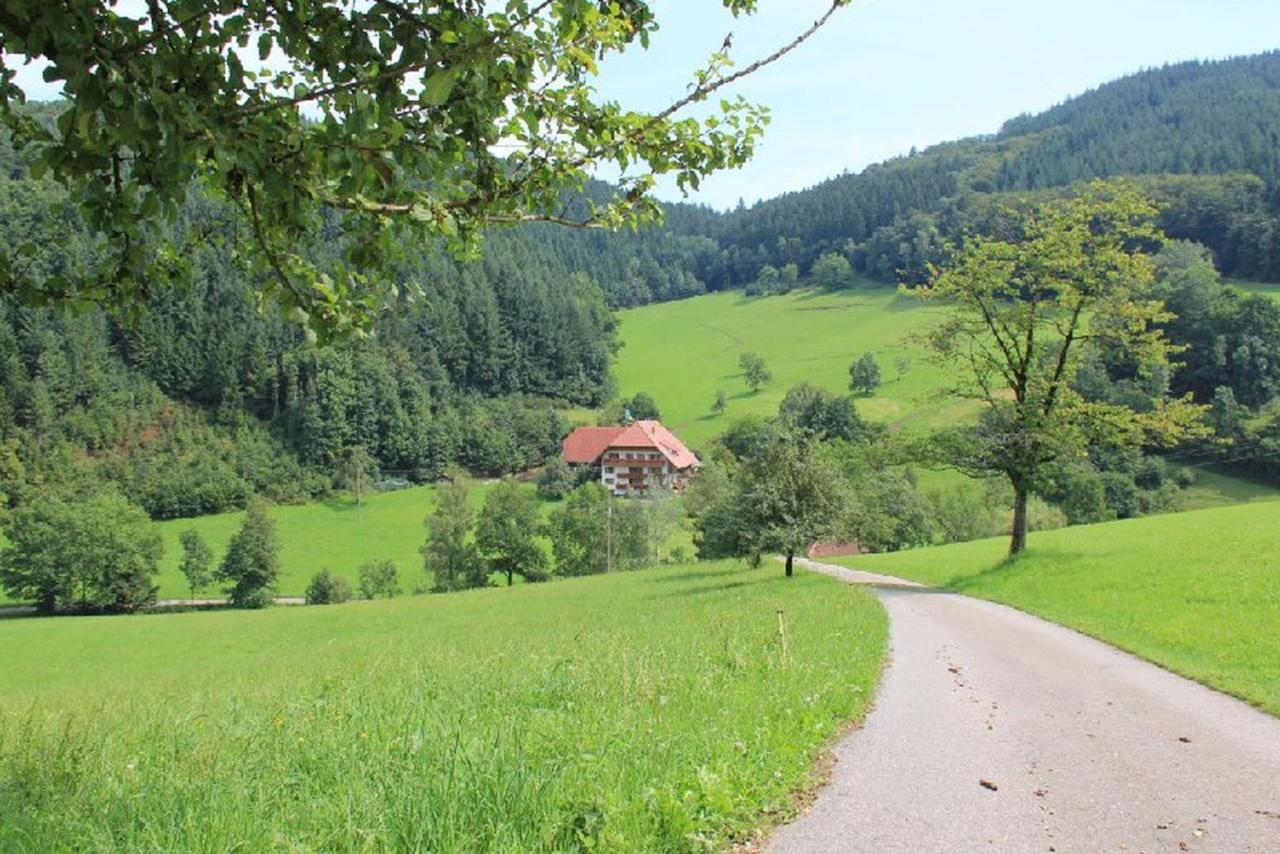 Geigerbauernhof Apartment Mühlenbach Екстериор снимка