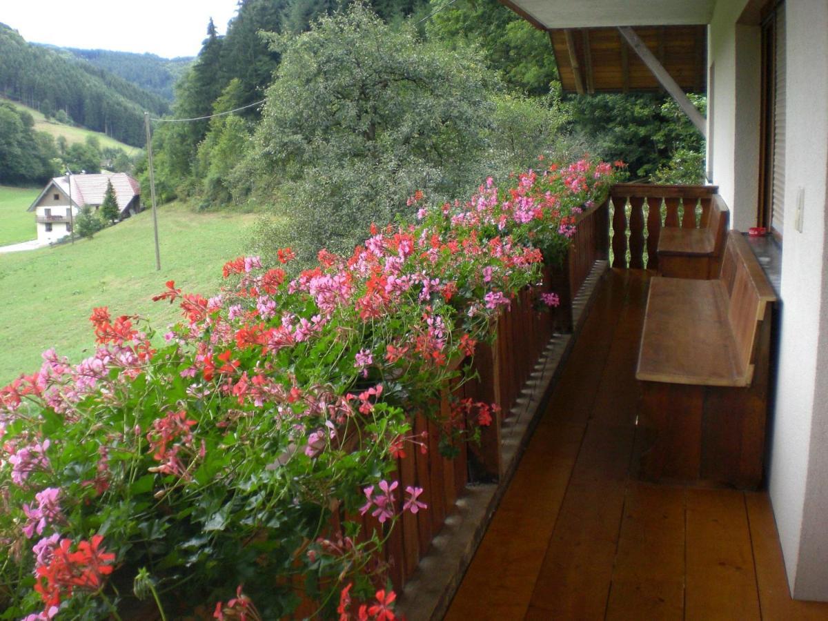 Geigerbauernhof Apartment Mühlenbach Екстериор снимка
