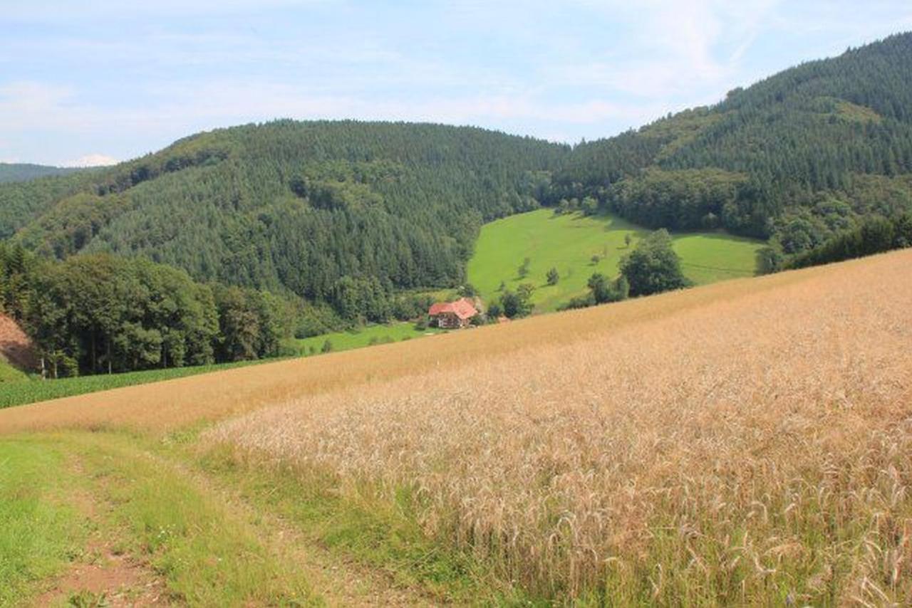 Geigerbauernhof Apartment Mühlenbach Екстериор снимка