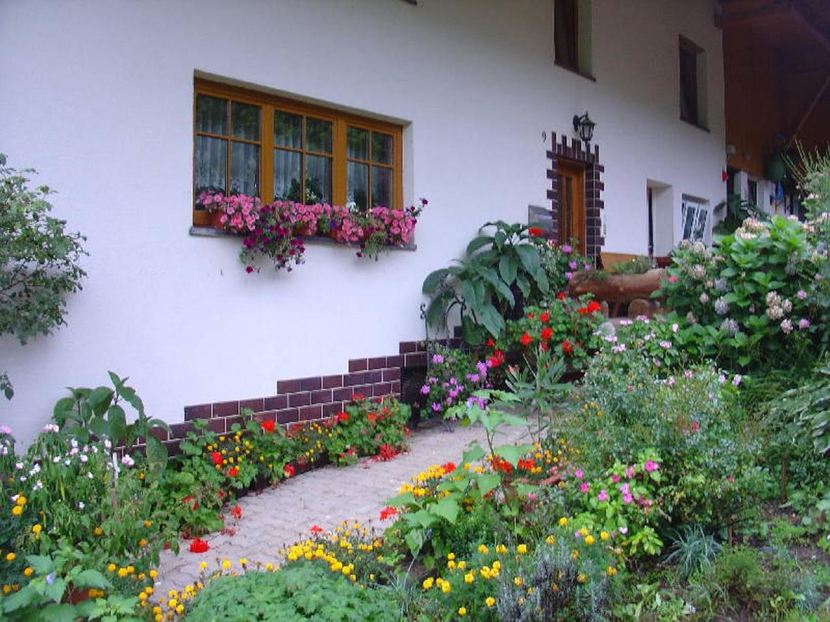 Geigerbauernhof Apartment Mühlenbach Екстериор снимка
